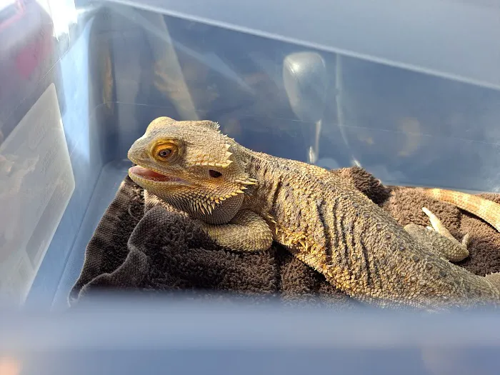 Hopewell Veterinary Hospital Picture 1