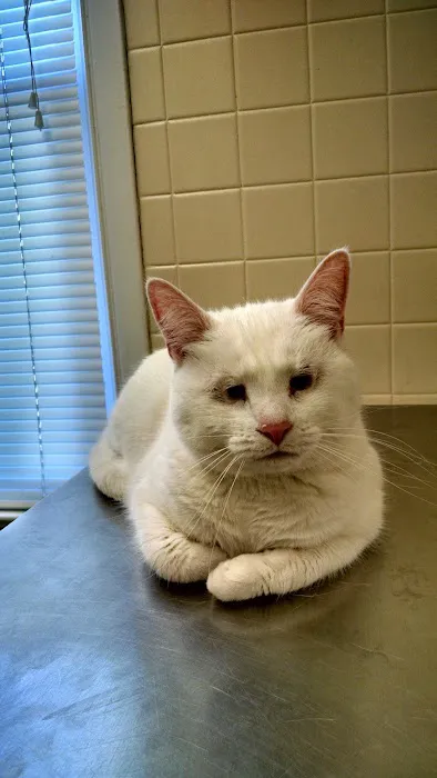 Hopewell Veterinary Hospital Picture 5