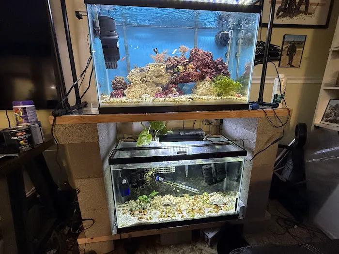 Rusty's Reefs Picture 9