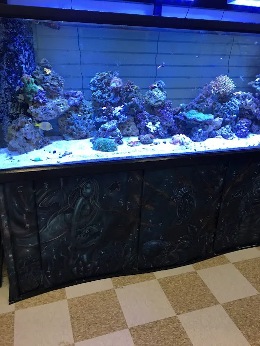 Rusty's Reefs Picture 8