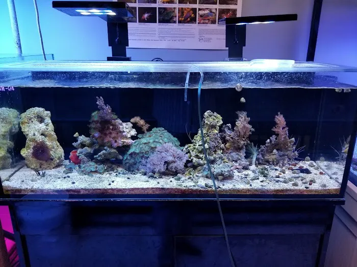 Rusty's Reefs Picture 6