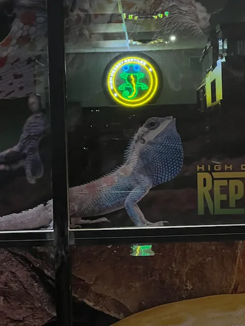 High Desert Reptiles 801 Picture 1