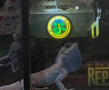 High Desert Reptiles 801