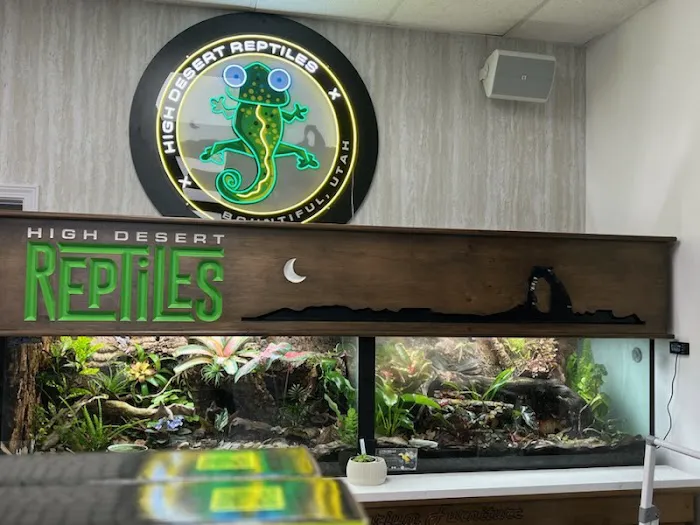 High Desert Reptiles 801 Picture 10