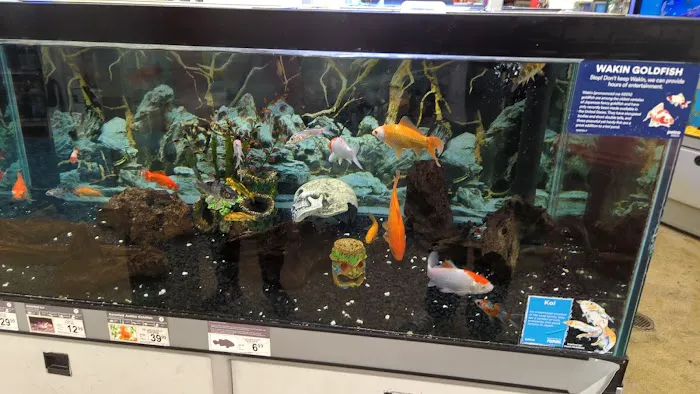 Petco Picture 3