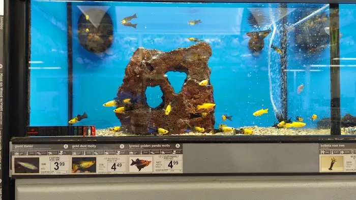Petco Picture 4