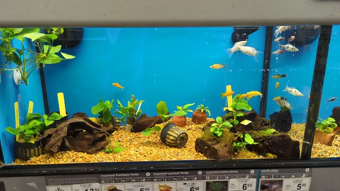 Petco Picture 10