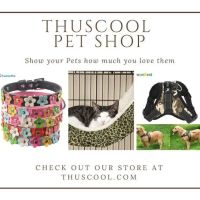 Thuscool ico