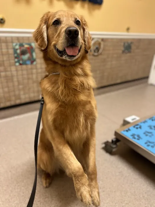 Rockledge Veterinary Clinic Picture 3