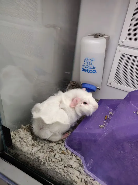 Petco Picture 9