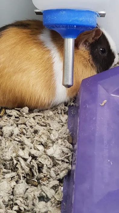 Petco Picture 4