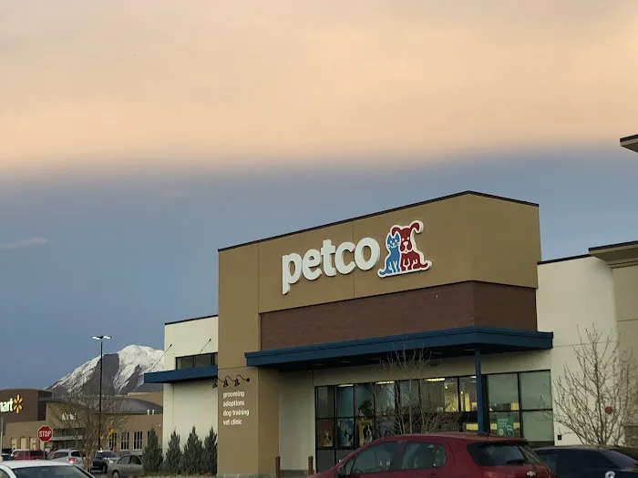Petco Picture 8