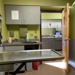 Horsham Veterinary Hospital