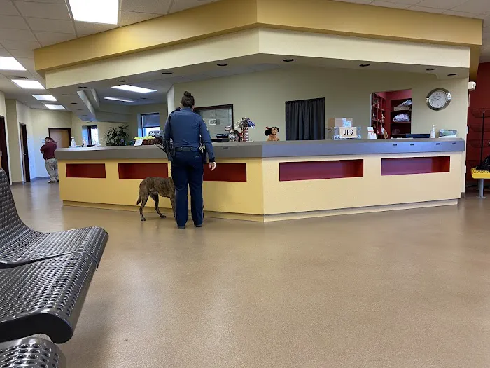 Horsham Veterinary Hospital Picture 3