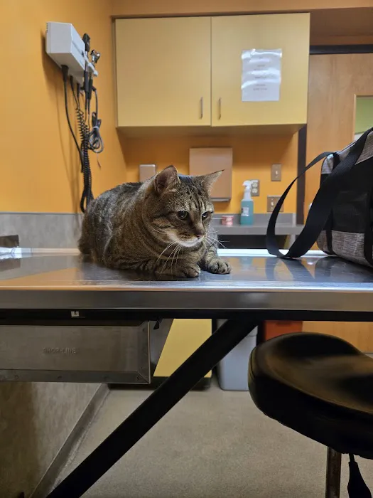 Horsham Veterinary Hospital Picture 9