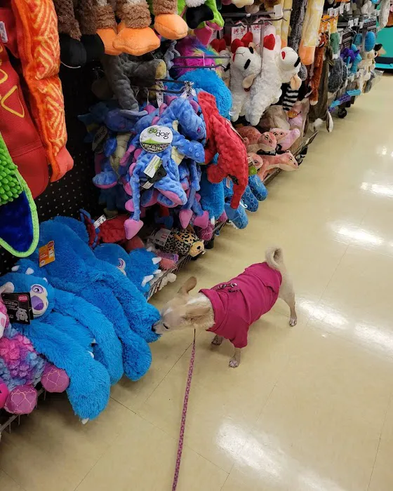 Petco Picture 1