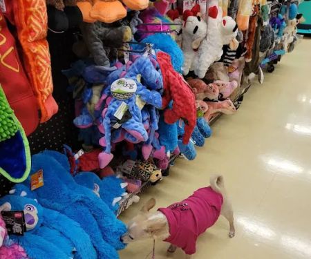 Petco