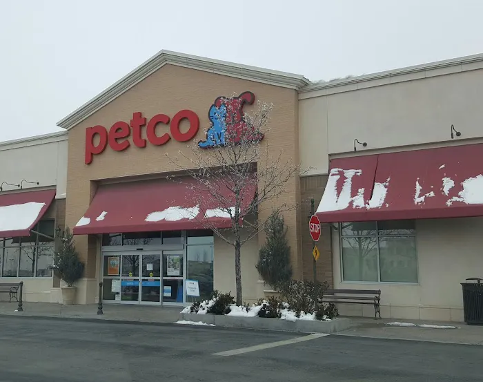Petco Picture 2