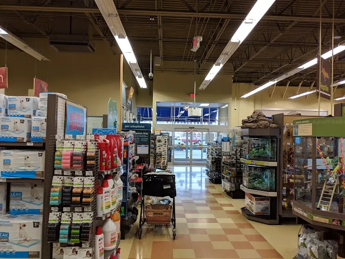 Petco Picture 3