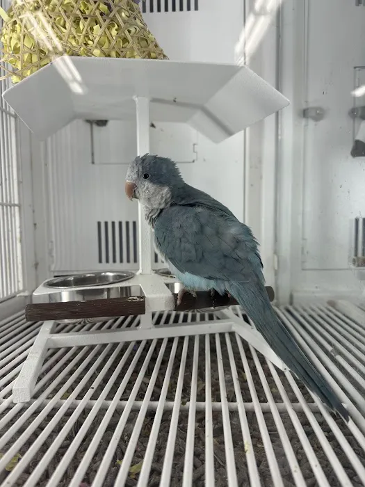 Petco Picture 4