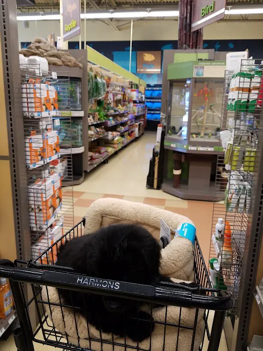Petco Picture 9