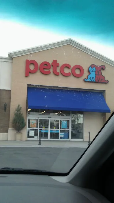 Petco Picture 6