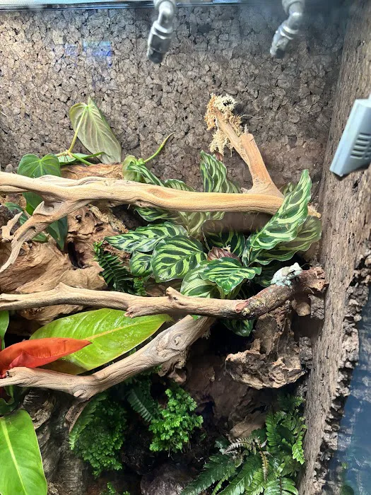 Britt's Biome Picture 2