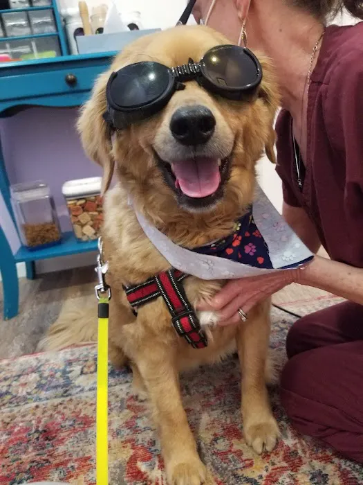 Kindred Integrative Veterinary Services Picture 3