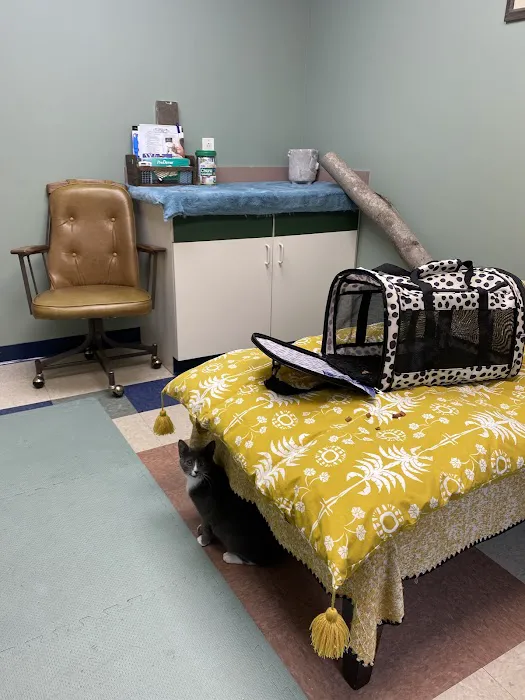 Kindred Integrative Veterinary Services Picture 1