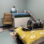 Kindred Integrative Veterinary Services