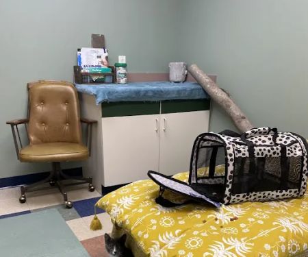 Kindred Integrative Veterinary Services