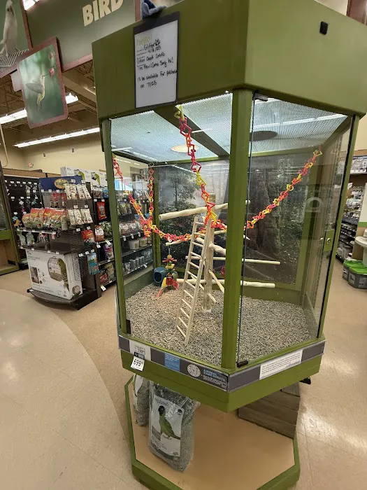Petco Picture 8