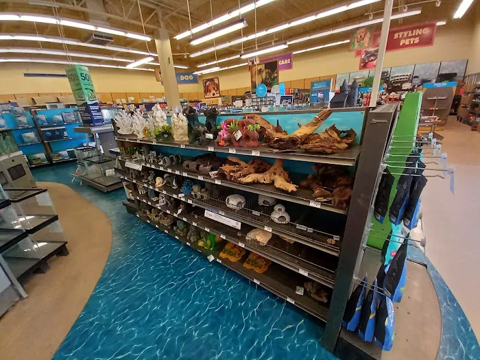 Petco Picture 9