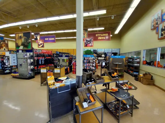 Petco Picture 7