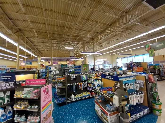 Petco Picture 2