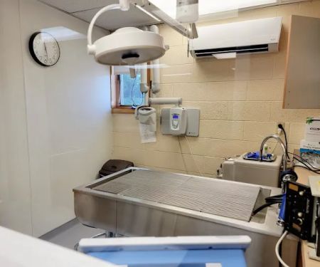 VCA East Penn Animal Hospital