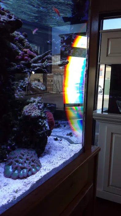 Aquatic Dreams & Funky Monkey Coral Picture 5