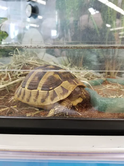 Petco Picture 5