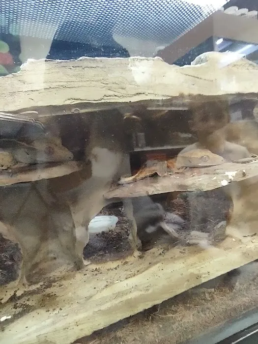 Petco Picture 1