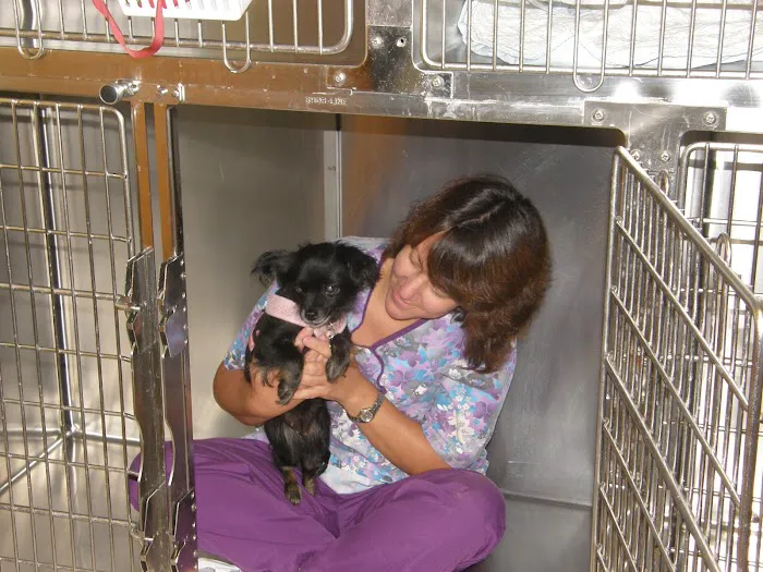 Walbert Animal Hospital Picture 9
