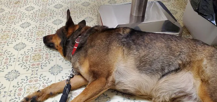Walbert Animal Hospital Picture 3