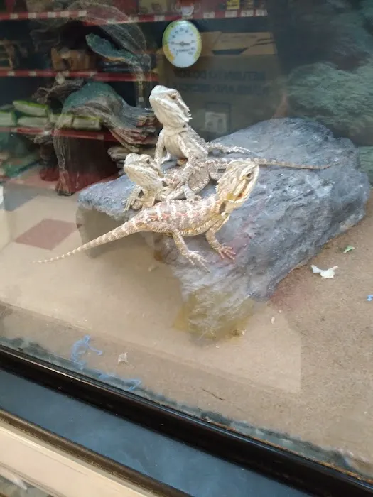 Petco Picture 2