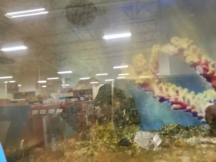 Petco Picture 1