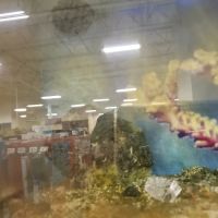 Petco ico
