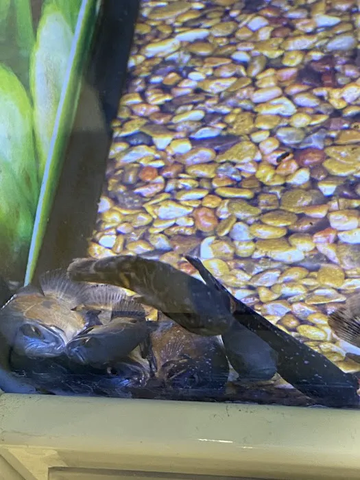 Petco Picture 7