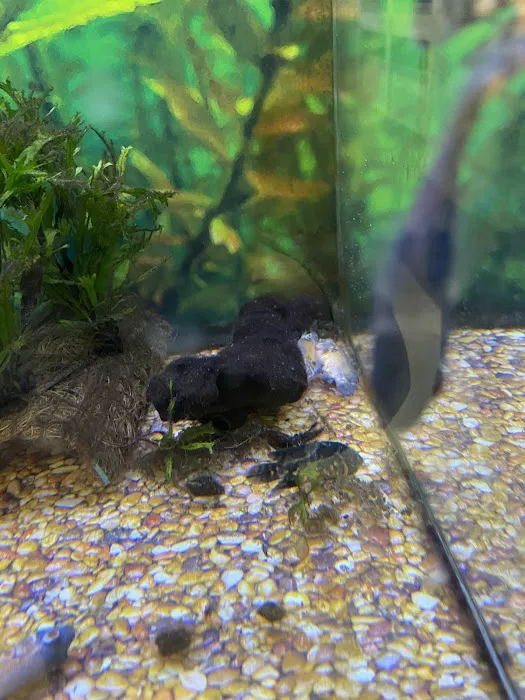 Petco Picture 8