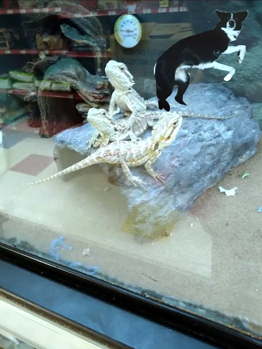 Petco Picture 10