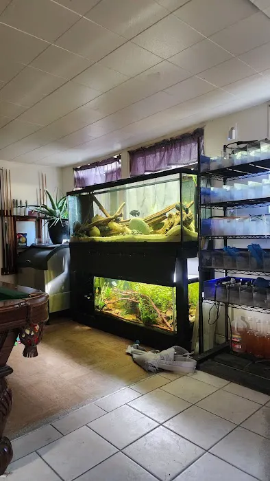 ADHD Aquatics Picture 6