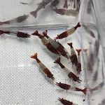 ADHD Aquatics