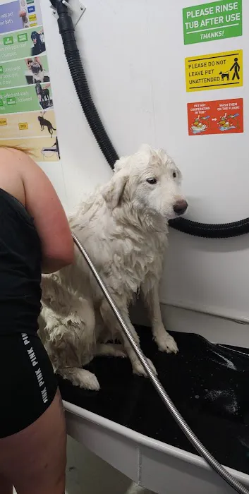 Bowser Bath Picture 7